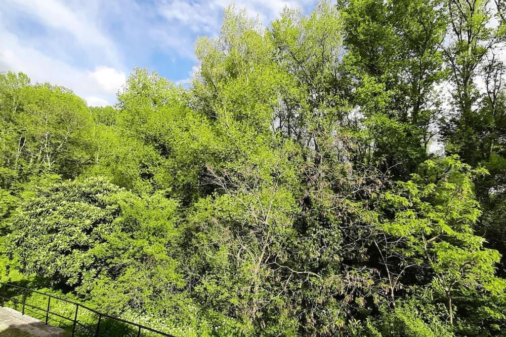 Gite De Charme Dans Mas Catalan Prades  Dış mekan fotoğraf