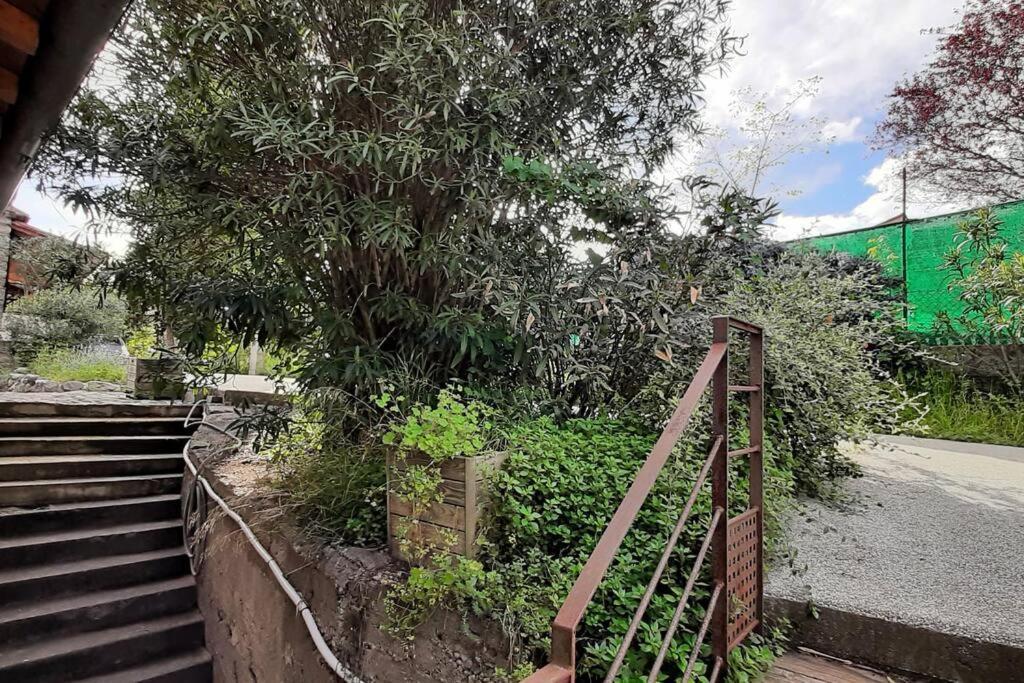 Gite De Charme Dans Mas Catalan Prades  Dış mekan fotoğraf