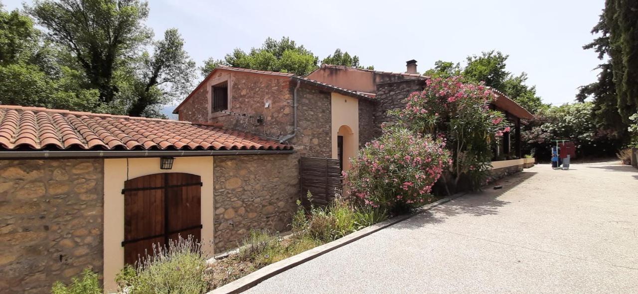 Gite De Charme Dans Mas Catalan Prades  Dış mekan fotoğraf