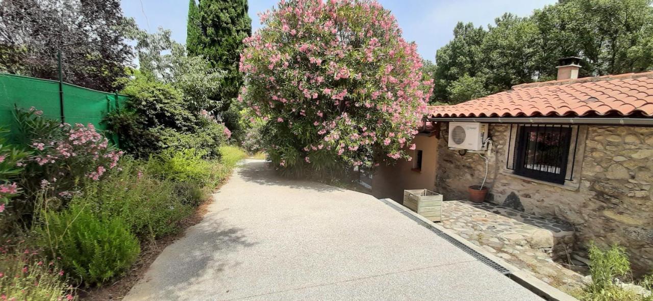 Gite De Charme Dans Mas Catalan Prades  Dış mekan fotoğraf