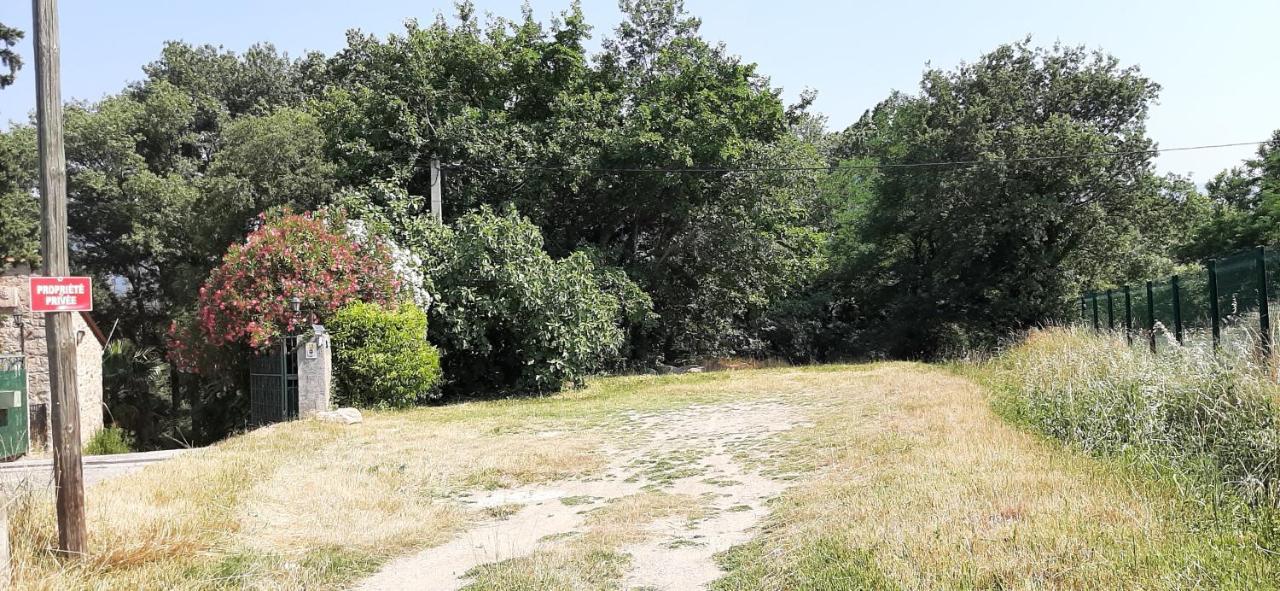Gite De Charme Dans Mas Catalan Prades  Dış mekan fotoğraf